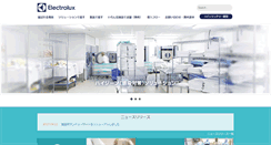 Desktop Screenshot of professional-laundry.com